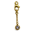 CH-LS-020 Rhinestone Charm