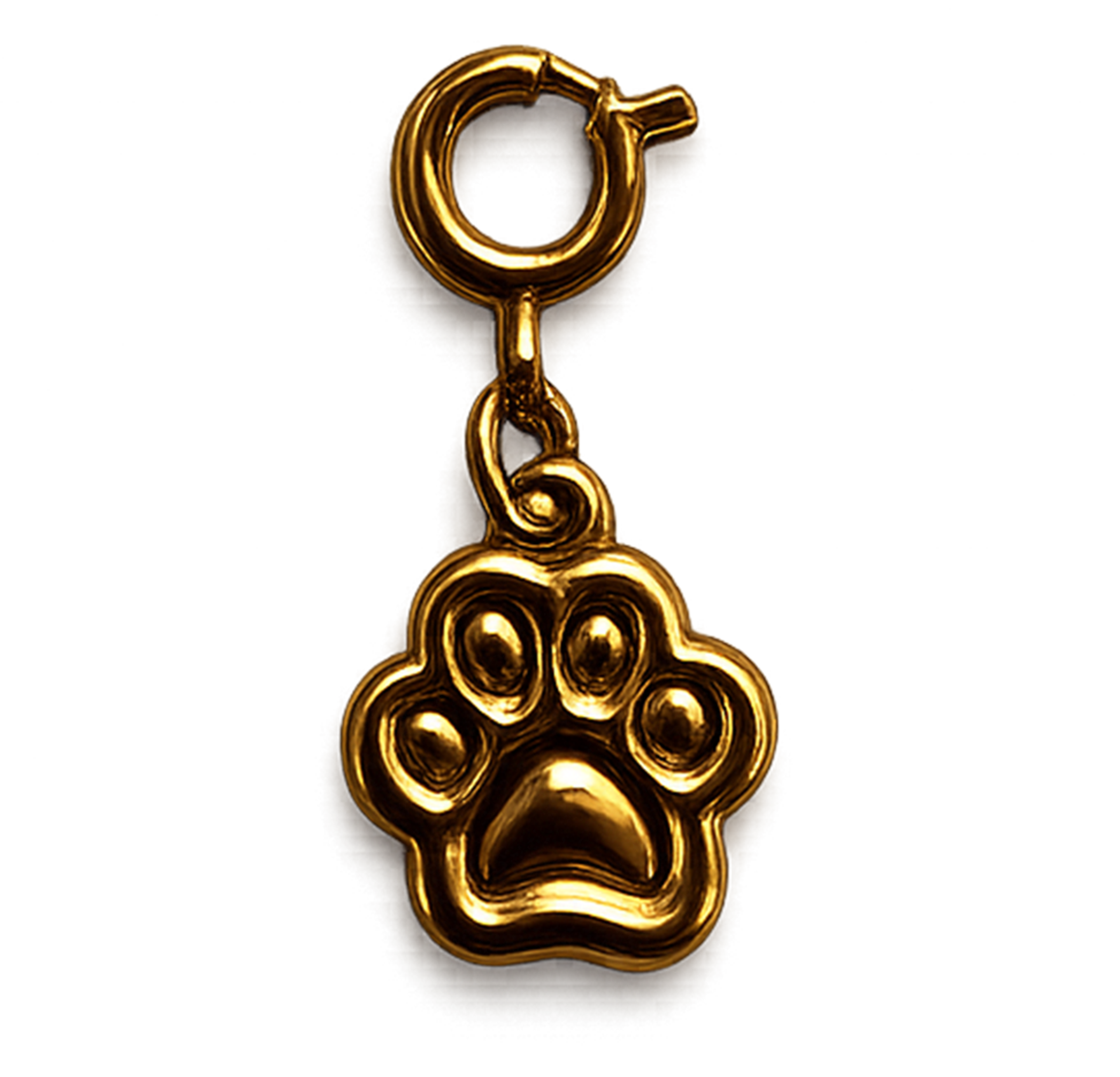 CH-LS-021 Paw Print Charm