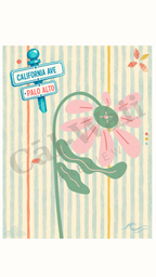 Flower and Palo Alto Collection